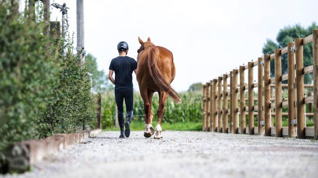 paard en ruiter wandelen naar de weide