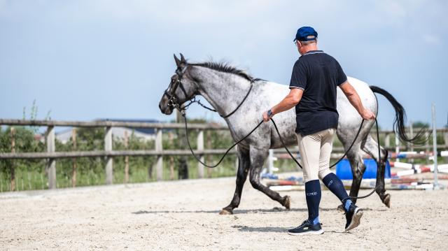 paard aan longe