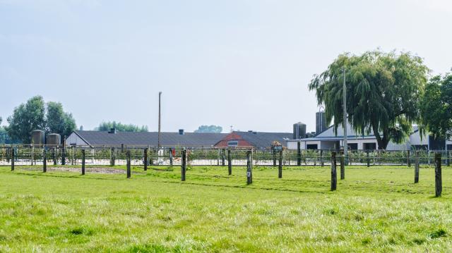 foto van de volledige accomodatie
